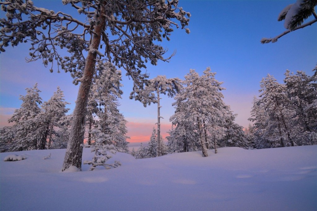 Christmas in Winter Wonderland – Rovaniemi Lapland