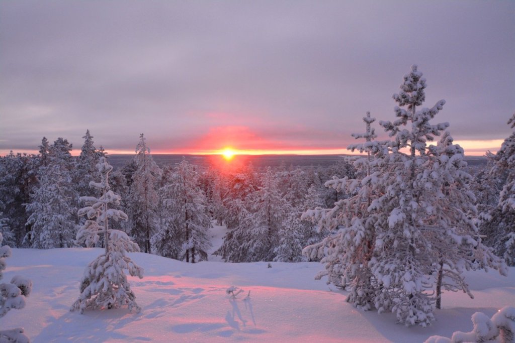 Rovaniemi – 4 talvista tärppiä lasten kanssa