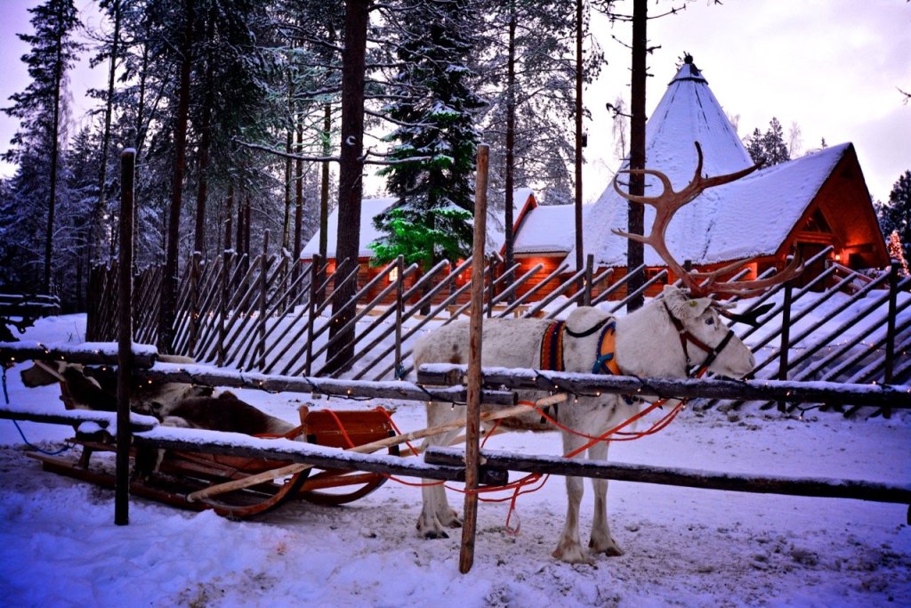 Christmas fever/Joulukuumetta – Visit Lapland